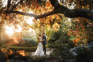 Such a pleasure and an honor to capture such an incredible and beautiful day for this amazing joyous couple. They cried, I cried, everyone cried from joy (don’t worry, my photos were still in focus). The story of their meeting  is pretty exceptional - A 7th grade student of Lauren’s secretly set them up!  This supports my theory that kids have way better instincts about this stuff.  And yes, that kid going to have amazing karma!  This event took place at the @storrierstearns a venue I hadn’t worked at before and it’s so great!  I want to post too many photos so maybe I will do a # 2 post but I will put more on my story!  #losangelesweddingphotographer #pasadenaweddingphotographer #pasadenawedding #outdoorwedding #japanesegardenwedding # weddingphotographer #weddinglifestyle #socalweddingphotographer #weddingphotography #losangelesweddingphotography #calamigosranch # bride #brideandgroom #brideandgroomportraits #florals #love #married #marriage #losangelesweddingphotographer #malibuweddingphotographer #santamonicaweddingphotographer #backlightphotography #love